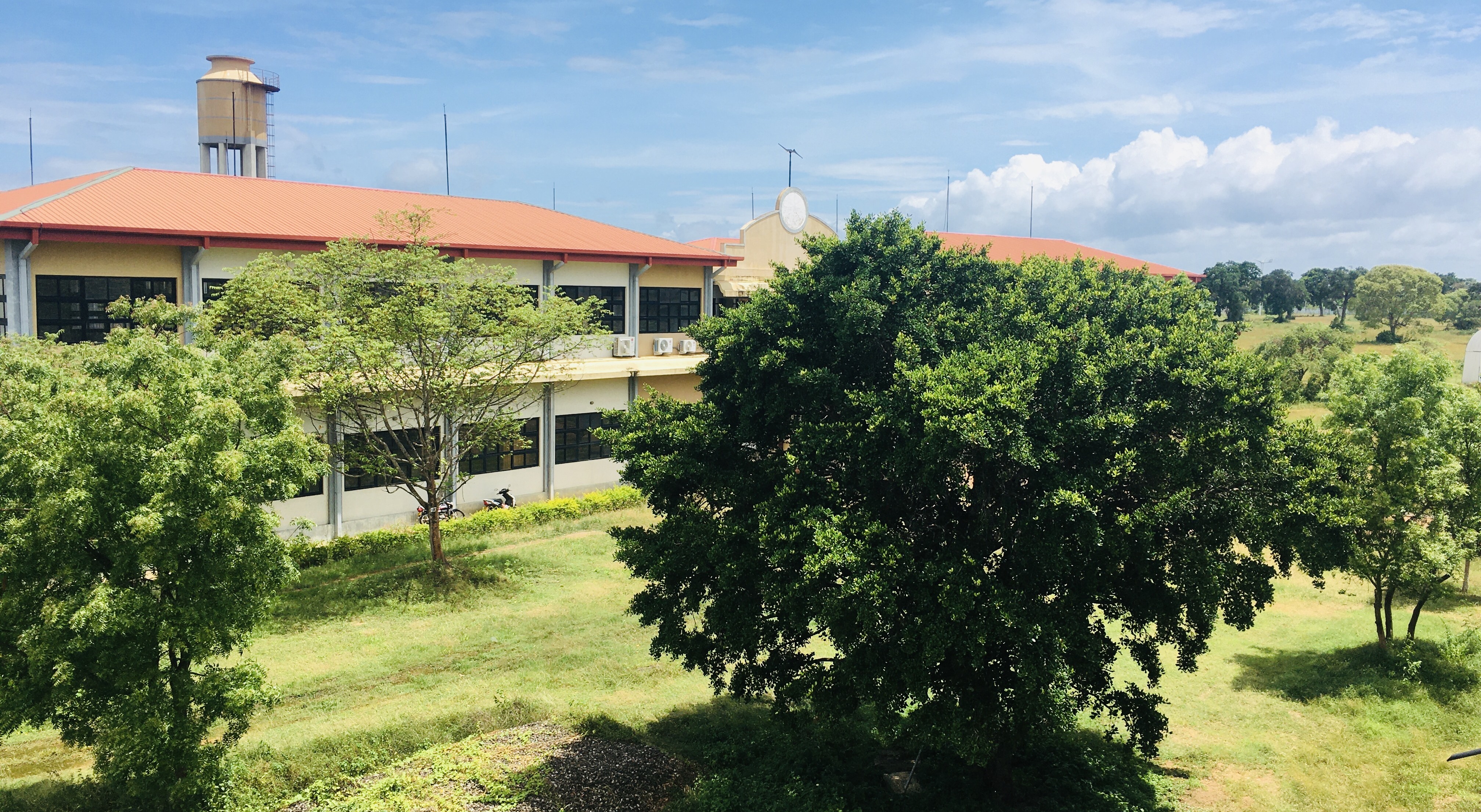 Faculty Grounds